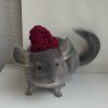 Тиабини