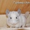 Бенни