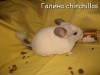 Бенни