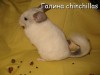 Бенни