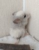 1 мес