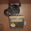 Маруся