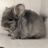 Ванкувер