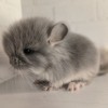 Жадан