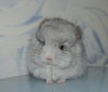 1мес 1нед