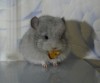 1мес 1нед