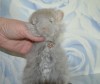 1мес 1нед