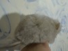 1мес 1нед