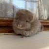 2мес 