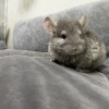 Кевин 