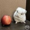 Милка