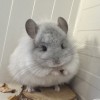 Солнечный Лучик