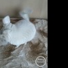 Найс Булочка