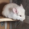 Каспер