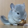 Севилия
