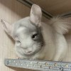 Каспер