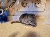Тоже в день рождения