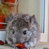 Сеул
