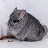 1 год 6 мес