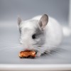 2 мес