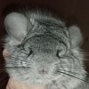 Есения 