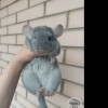 Сириус