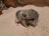 1 неделя