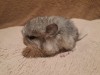 2 неделя