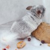 2мес 