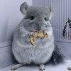 Рэн Чин Лав