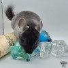 Амбра