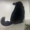 Маняша
