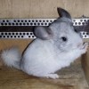 Каспер