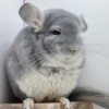 Айна