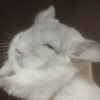 Океания