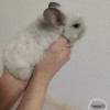 СИ Евсей
