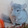 Серафима 