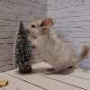 Ева_КХ