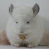 Серафима Хит