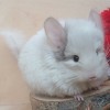 Юаким