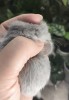 3дня