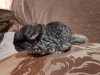 1 неделя