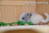 Ева