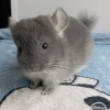 Плюх