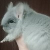 Виконт