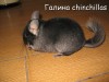 Балу