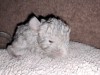 1 неделя
