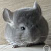 Бусинка