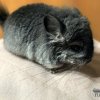 1КПА нЧЖ мальчик