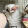 Винни